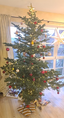 Weihnachtsbaum